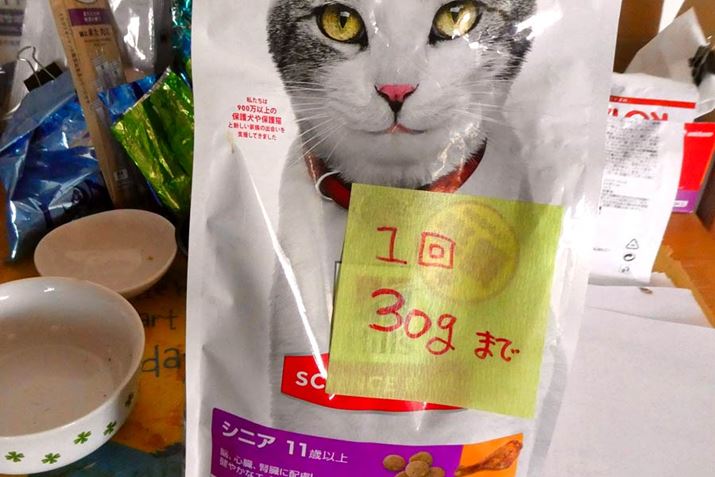 xł\蒼̂ŁAV̂ɑ΂ēgƂg񂹂܂