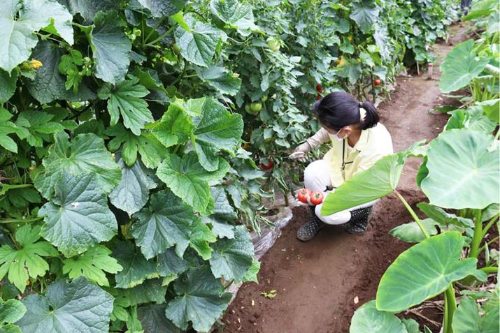 Ŗ؂ĂFlABĖ؂͖nĂǂǂł̂ŁA~LT[ŃO[X[W[ɂȂǂȂƏԂɍȂƂ̂