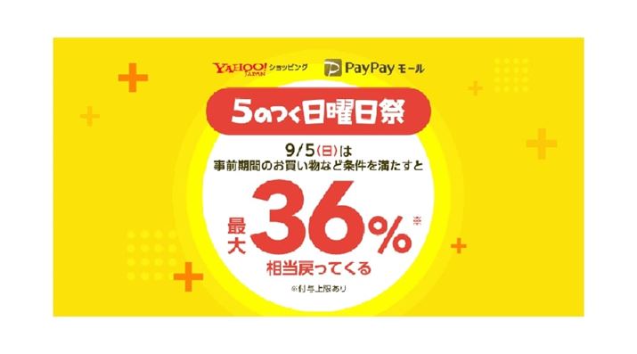 2021N95́u5̂jvł͗pɂčő36Ҍi摜PayPayTCgj