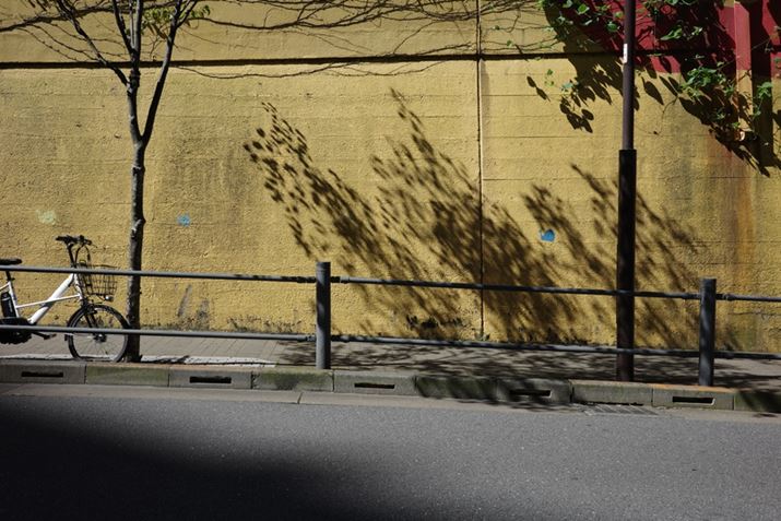 GR IIIxAISO100AF8A1/200bAzCgoXF}`p^[I[gAC[WRg[FX^_[hAJPEGBeʐ^i6000×4000A12.8MBj