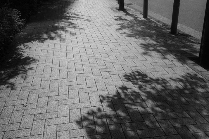 GR IIIxAISO100AF11A1/200bAzCgoXF}`p^[I[gAC[WRg[F\tgmg[i1jAJPEGBeʐ^i6000×4000A12.8MBj