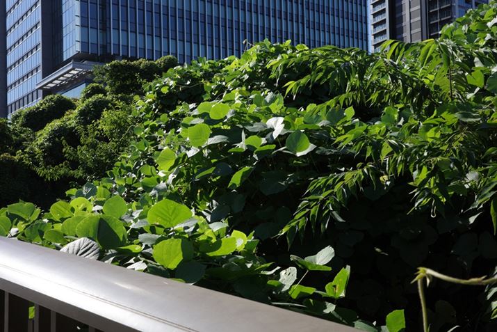 GR IIIxAISO200AF9A1/250bAzCgoXF}`p^[I[gAC[WRg[FX^_[hAJPEGBeʐ^i6000×4000A10.3MBj