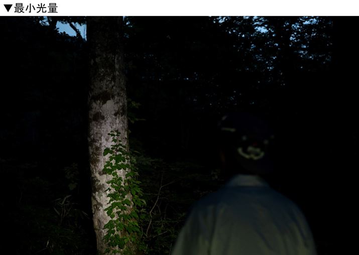 ÂāAOɂ؂̖̊͗l킩ɂ