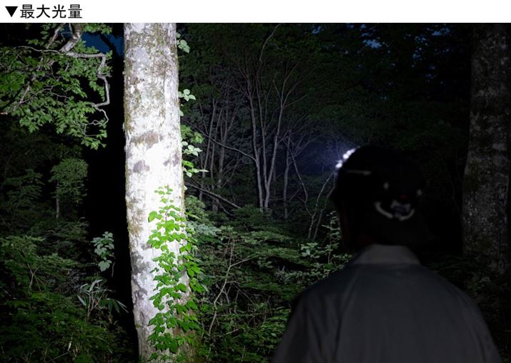 āAނ؂ׂ̊̍Ȗ͗l킩ɂ