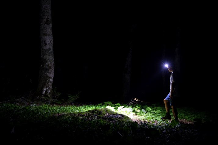 ԍsɓ]|h߂ɂ́Aꂭ炢̋i2`3mjł̎F̍ǂꂭ炢Ȃ̂Aɏdv