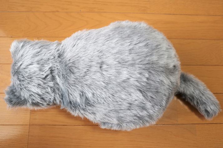 tHAdAѕ݁Acczm̔L̃Aɍו܂łĂ܂