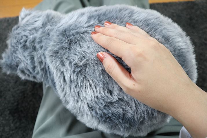 wɂƎuƃAȐS邱ƂłA܂