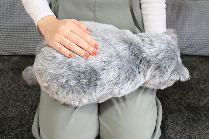 ĎuĂƁAzm̔LȂłĂ悤cc