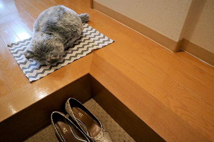 oOɂ݂ZbgĂlq͑zȂł