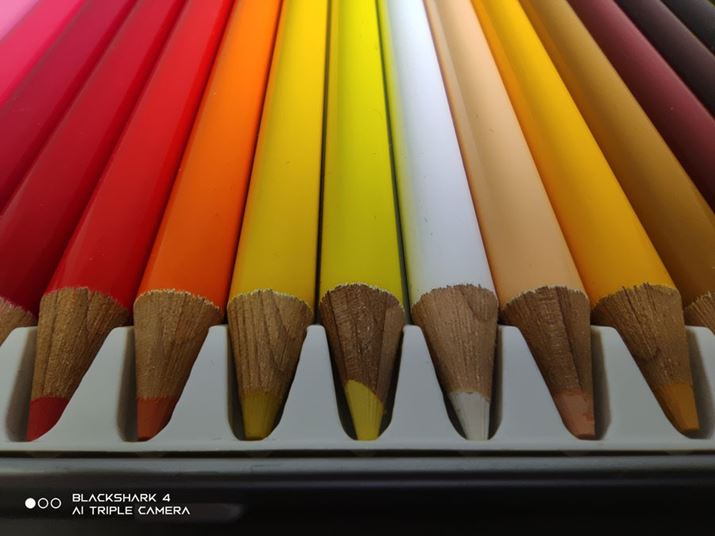 CeBOsX^WIŐFM肬܂ŐڎʁBɋ߂ĉeɂȂĂ܂ANɎʂĂ