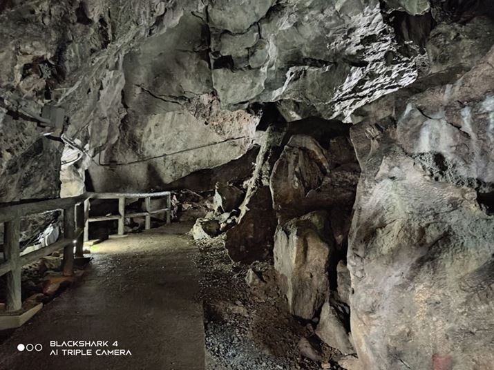 ߓiCg[hŎBeBł͔Â\}AumCYꂸAȂNBȂiCg[hɑΉ͕̂WĴ݂ƂȂ