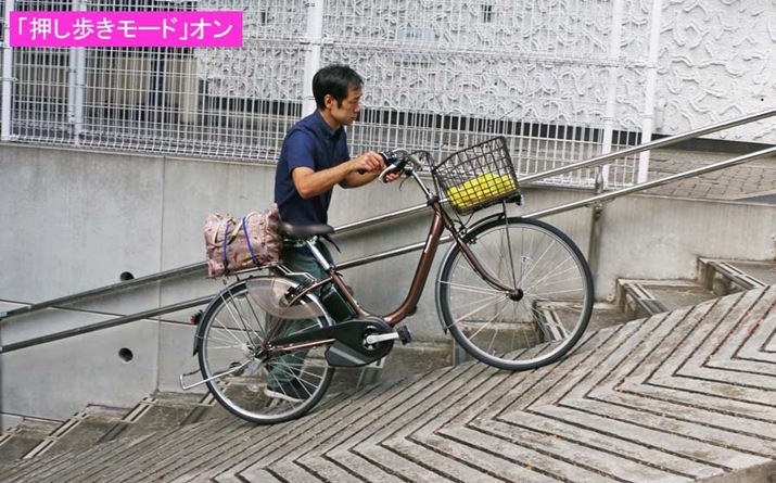 ĂpĂ炦΁Aʏ̏Ԃ̂قȂ͂߂ĉĂ邱Ƃ킩