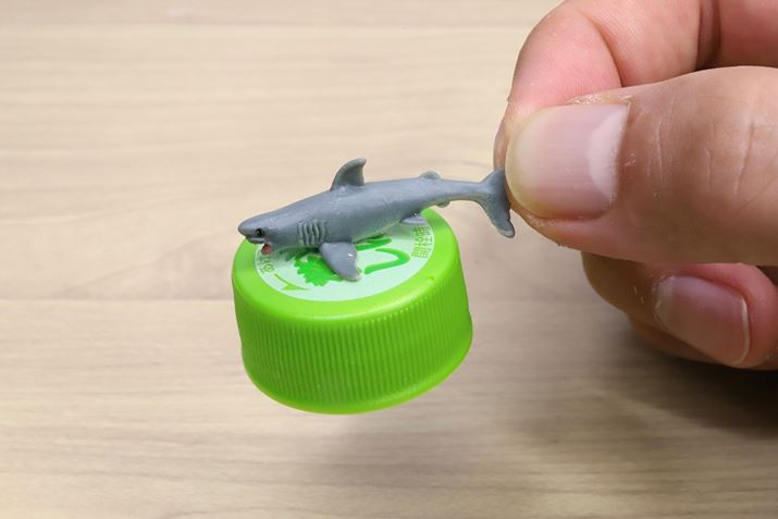 Sfނ̃tBMAPPّ̈fސڒAunCp[ChvȂȂȂI