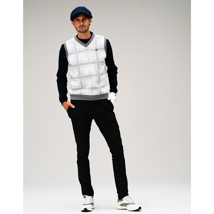 J[͎ʐ^̃zCĝقAlCr[ACG[p