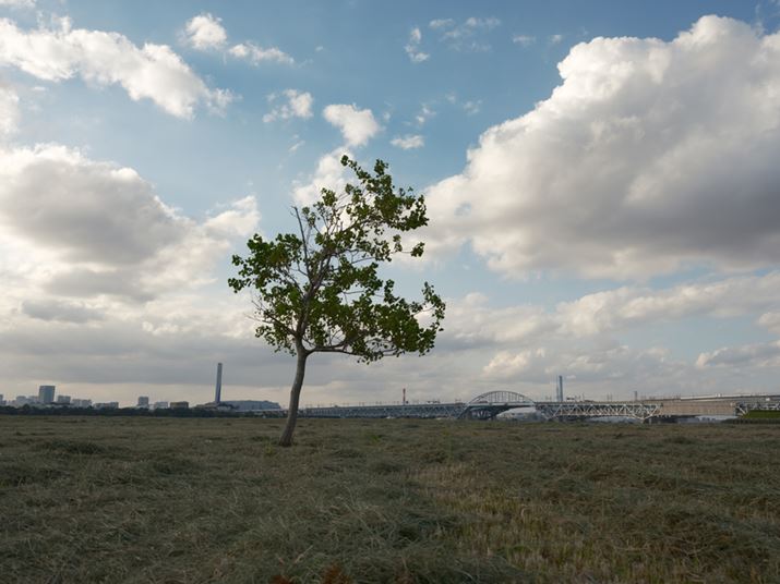 GFX50S IIAGF35-70mmF4.5-5.6 WRA35mmi35mmZ28mmjAISO100AF14A1/75bA_Ci~bNWF100AzCgoXFI[giR:+2AB:-3jAtBV~[VFmX^WbNlKAVhEg[F-2AJ[F-2AJPEGBeʐ^i8256×6192A24.2MBj