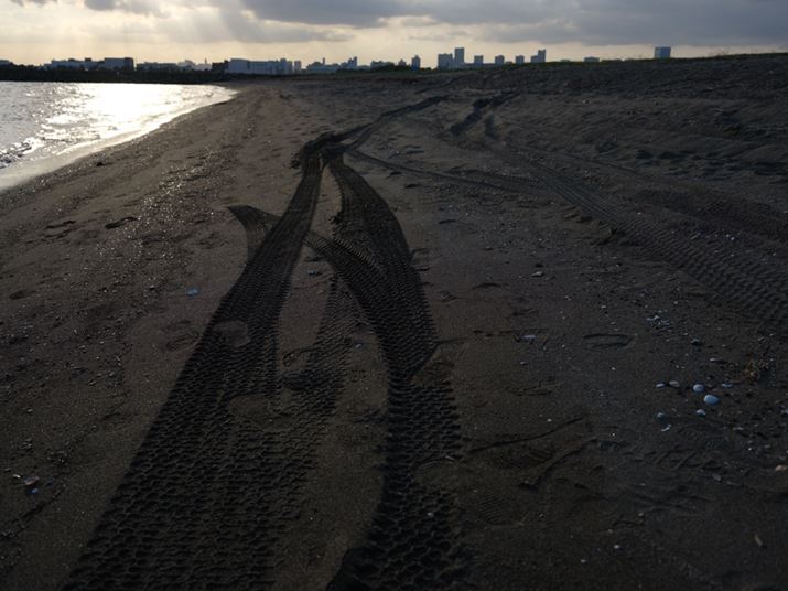 GFX50S IIAGF35-70mmF4.5-5.6 WRA43mmi35mmZ34mmjAISO100AF8A1/220bA_Ci~bNWF100AzCgoXFI[gAtBV~[VFPROVIA/X^_[hAJPEGBeʐ^i8256×6192A26.5MBj