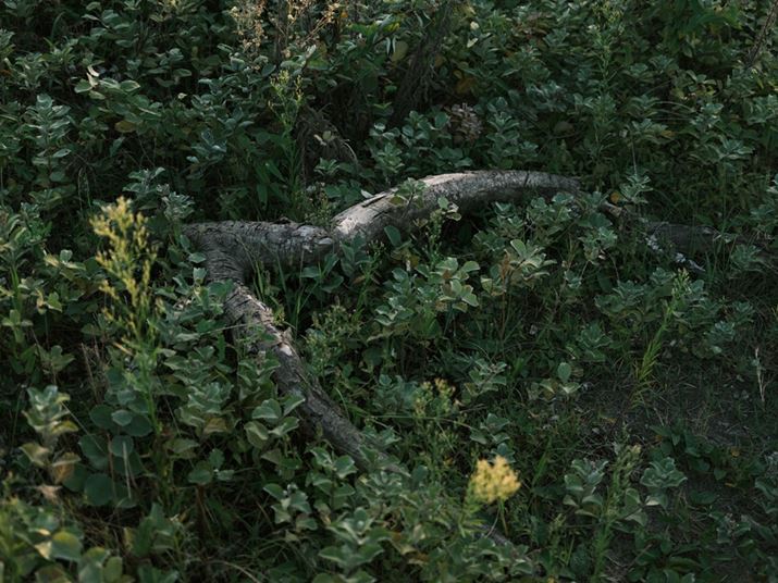 GFX50S IIAGF35-70mmF4.5-5.6 WRA70mmi35mmZ55mmjAISO100AF5.6A1/58bA_Ci~bNWF100AzCgoXFAAtBV~[VFNVbNlKAJ[N[EGtFNgFAJPEGBeʐ^i8256×6192A28.0MBj