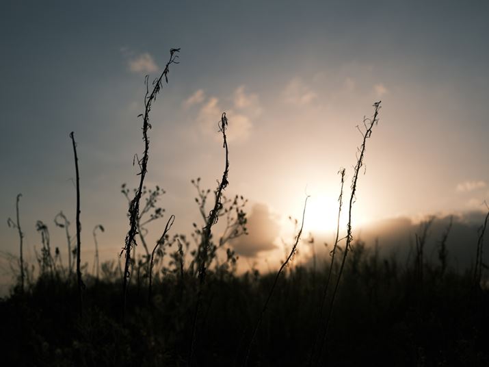 GFX50S IIAGF35-70mmF4.5-5.6 WRA62mmi35mmZ49mmjAISO100AF5.6A1/1900bA_Ci~bNWF100AzCgoXFI[gAtBV~[VFNVbNlKAJPEGBeʐ^i8256×6192A18.8MBj