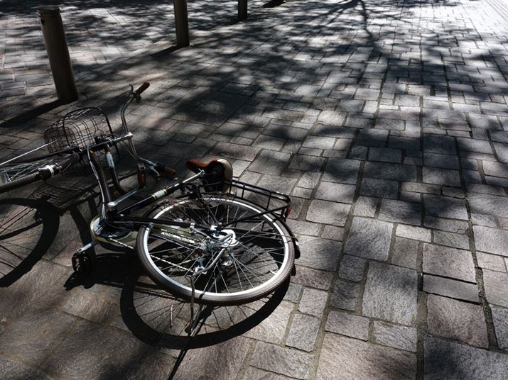 GFX50S IIAGF35-70mmF4.5-5.6 WRA35mmi35mmZ28mmjAISO100AF11A1/34bA_Ci~bNWF100AzCgoXFI[gAtBV~[VFPROVIA/X^_[hAJPEGBeʐ^i8256×6192A27.7MBj