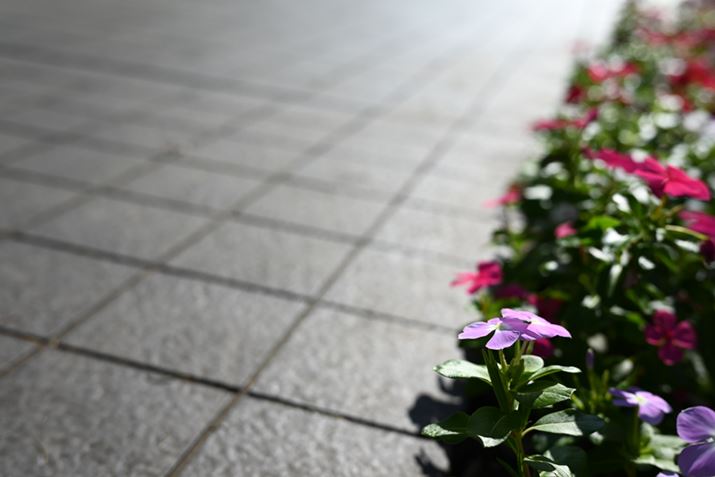 Z 5ANIKKOR Z 40mm f/2AF4A1/1250bAISO100AWBFI[g1AsN`[Rg[FI[gAANeBuD-CeBOFȂAJPEGBeʐ^i6016×4016A8.7MBj