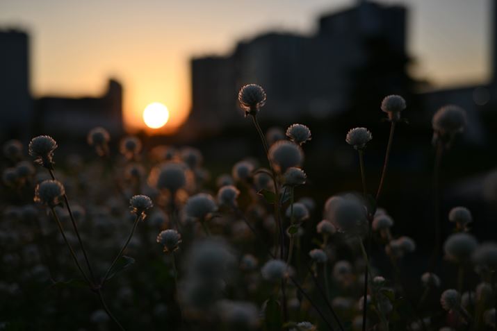 Z 5ANIKKOR Z 40mm f/2AF2A1/4000bAISO100AWBFRI[gAsN`[Rg[FI[gAANeBuD-CeBOF߁AJPEGBeʐ^i6016×4016A9.8MBj