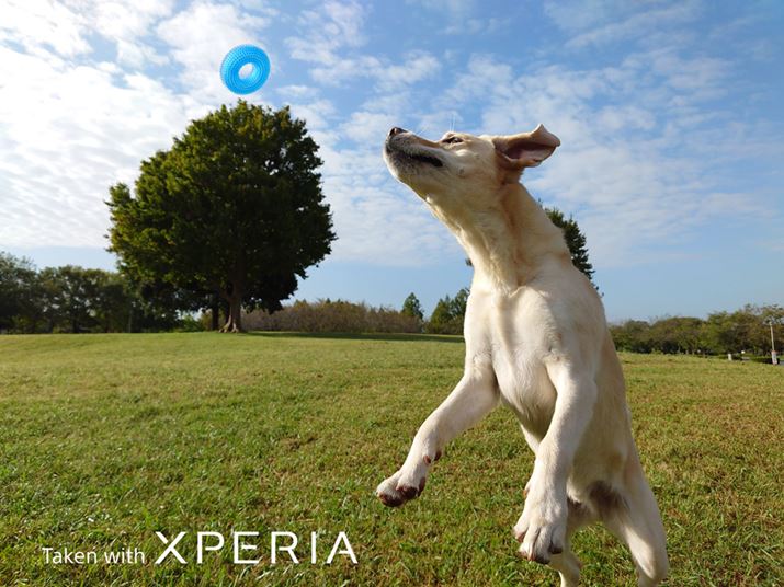 ̃nCCg̕\͂A_Ci~bNW̍LB܂AAF\̂߁Aђ˂錢ɂsgĂ邱Ƃ킩