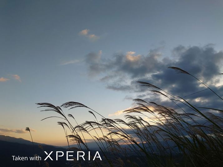 [ẴOf[VRȊKŎdオĂ