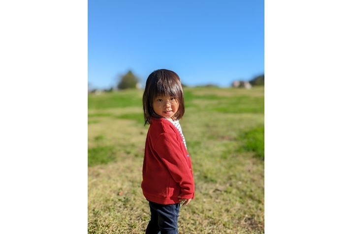 u|[g[gv̈BBeɃ{Pʂ⃉CeBOȂǂ̒s܂B܂Aǂ̂悤Ȕ̐F@BwKpčČuAg[vɂA̐FRł