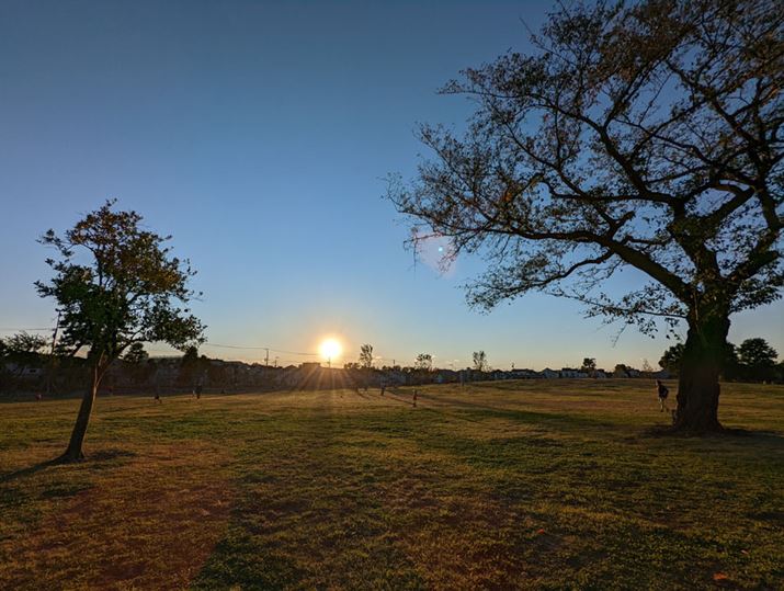 L̗[𒴍LpJŎBe1BLfuPixel 5v牺܂A\tgEFAɂ肻̍܂