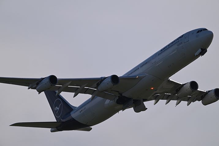 Z 9�ANIKKOR Z 100-400mm f/4.5-5.6 VR S�{Z TELECONVERTER TC-2.0x�A800mm�AF11�A1/2000�b�AISO720�AWB�F���R���I�[�g�A�s�N�`���[�R���g���[���F�X�^���_�[�h�A�A�N�e�B�uD-���C�e�B���O�F���Ȃ��AJPEG�B�e�ʐ^�i8256×5504�A17.0MB�j