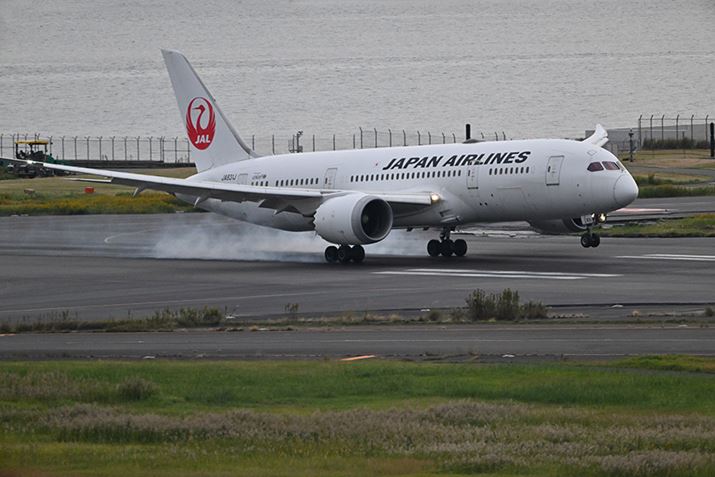 Z 9�ANIKKOR Z 100-400mm f/4.5-5.6 VR S�{Z TELECONVERTER TC-1.4x�A560mm�AF8�A1/1000�b�AISO5000�AWB�F�I�[�g1�A�s�N�`���[�R���g���[���F�X�^���_�[�h�A�A�N�e�B�uD-���C�e�B���O�F�I�[�g�AJPEG�B�e�ʐ^�i8256×5504�A24.9MB�j