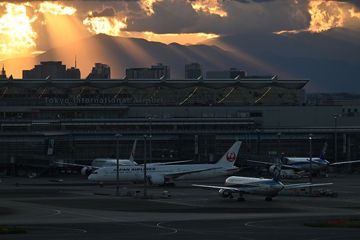 Z 9�ANIKKOR Z 100-400mm f/4.5-5.6 VR S�A300mm�AF8�A1/320�b�AISO220�AWB�F�I�[�g1�A�s�N�`���[�R���g���[���F�X�^���_�[�h�A�A�N�e�B�uD-���C�e�B���O�F�I�[�g�AJPEG�B�e�ʐ^�i8256×5504�A19.4MB�j