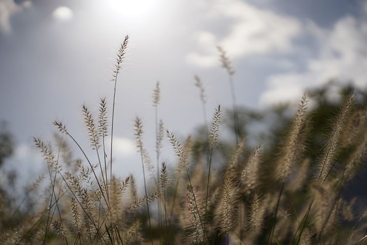 7 IIIA28-75mm F/2.8 Di III VXD G2A75mmAF2.8A1/8000bAISO100AzCgoXFI[gANGCeBuX^CFX^_[hADWIveB}CU[FI[gAJPEGBeʐ^i6000×4000A10.1MBj