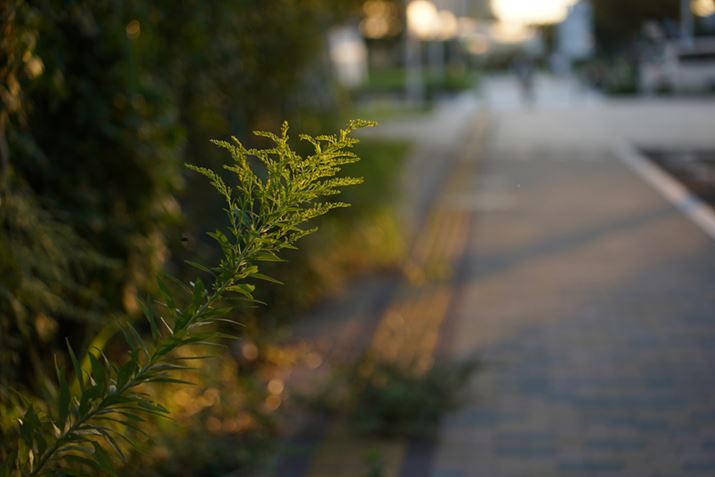 7 IIIA28-75mm F/2.8 Di III VXD G2A75mmAF2.8A1/200bAISO100AzCgoXFI[gANGCeBuX^CFX^_[hADWIveB}CU[FI[gAJPEGBeʐ^i6000×4000A9.5MBj