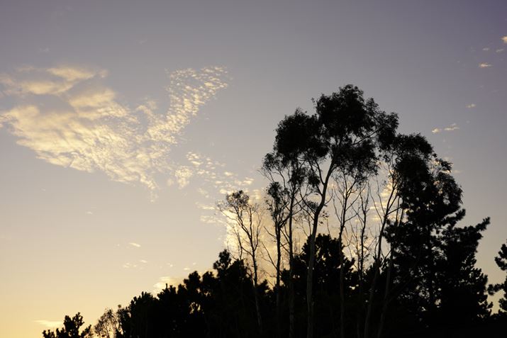 7 IIIA28-75mm F/2.8 Di III VXD G2A42mmAF8A1/80bAISO100AzCgoXFI[gANGCeBuX^CF[iADWIveB}CU[FI[gAJPEGBeʐ^i6000×4000A11.3MBj