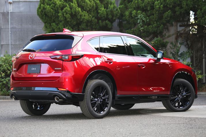 V^uCX-5v̓ʎdlԁuSports AppearanceṽAGNXeA