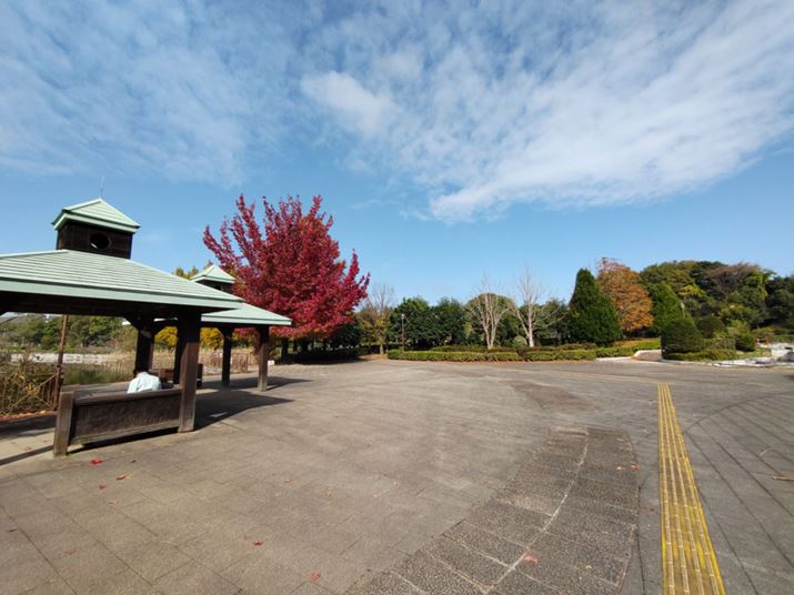 ƓiLpJɐ؂ւĎBeBLp̂ߐ╗iL\}Ɏ܂ĂBSʓIȃg[͗ǍDA̖邳łӕł͉掿̍rmCYn߂Ă