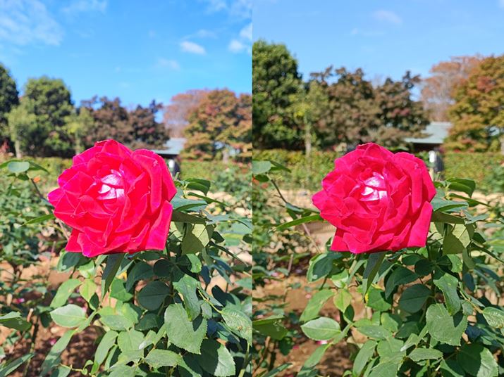 ԂoBeBuXiaomi 11T Prov͉Ԃт̊KȂ̂؂ƂہBuXiaomi 11Tv̓fBe[悭cĂ邪AF͓̈ۂ֒ĂBǂX͈قȂ邪AF̕\ɃNZB̊ۍ\}AI[gtH[JX͏X