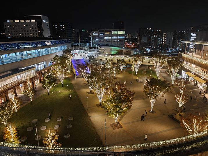 iBeB10VbgقǎBeɎuꂽBdオ͗ǍDŁAnCCgÏ܂łȂȂLCB