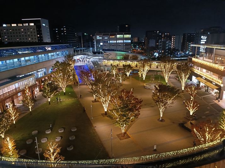 ƓiBeBrƂA_[CAnCCg͂̂قOa͖ڗȂBȂA𑜊mCYł͑傫ȈႢ͂ȂB܂悤Ȃ̂