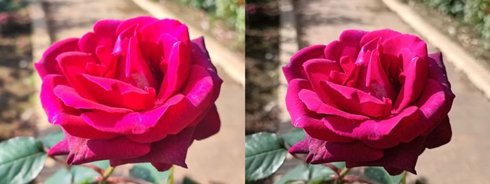 uXiaomi 11T Prov͈ꌩN₩AKfBe[RÂ؂ƂہBuXiaomi 11Tv̂قɋ߂