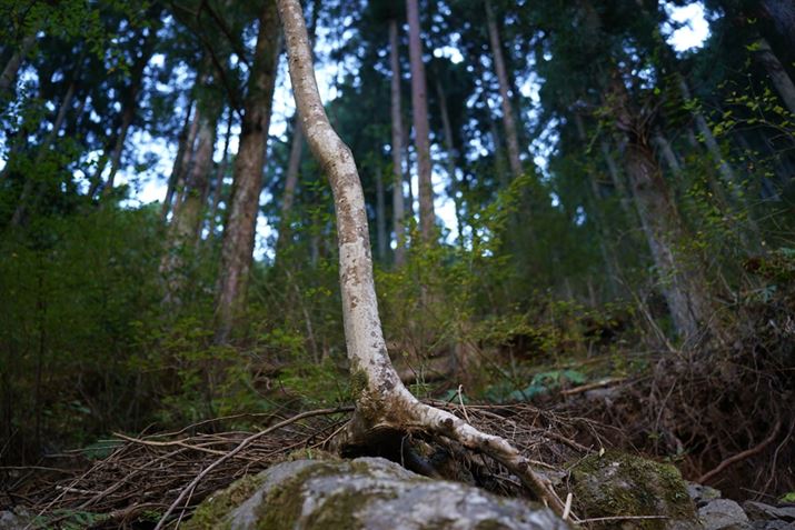 7 IIIA35-150mm F/2-2.8 Di III VXDA35mmAF2A1/50bAISO100AzCgoXFI[gANGCeBuX^CFX^_[hADWIveB}CU[F؁AJPEGBeʐ^i6000×4000A14.0MBj