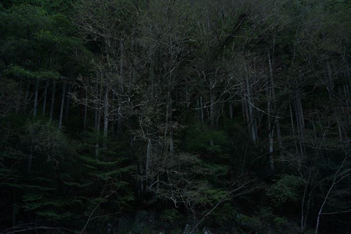 7 IIIA35-150mm F/2-2.8 Di III VXDA35mmAF2.8A1/60bAISO100AzCgoXFܓVANGCeBuX^CFX^_[hADWIveB}CU[F؁AJPEGBeʐ^i6000×4000A19.8MBj