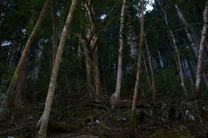 7 IIIA35-150mm F/2-2.8 Di III VXDA57mmAF2.5A1/40bAISO100AzCgoXFI[gANGCeBuX^CFX^_[hADWIveB}CU[F؁AJPEGBeʐ^i6000×4000A15.5MBj