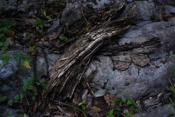 7 IIIA35-150mm F/2-2.8 Di III VXDA44mmAF2.2A1/200bAISO200AzCgoXFI[gANGCeBuX^CFX^_[hADWIveB}CU[F؁AJPEGBeʐ^i6000×4000A15.5MBj