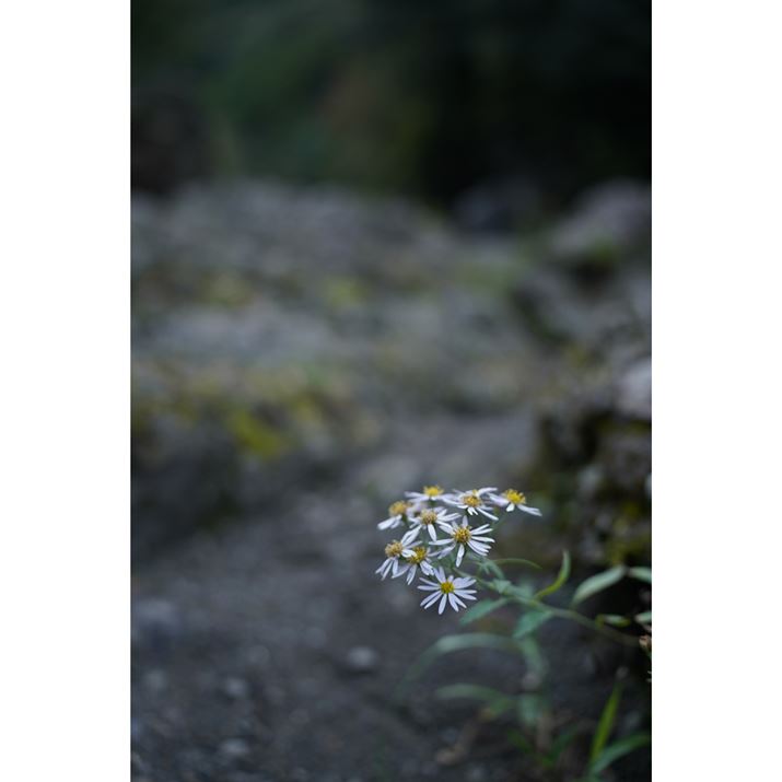 7 IIIA35-150mm F/2-2.8 Di III VXDA35mmAF2A1/80bAISO400AzCgoXFܓVANGCeBuX^CFX^_[hADWIveB}CU[F؁AJPEGBeʐ^i4000×6000A9.0MBj