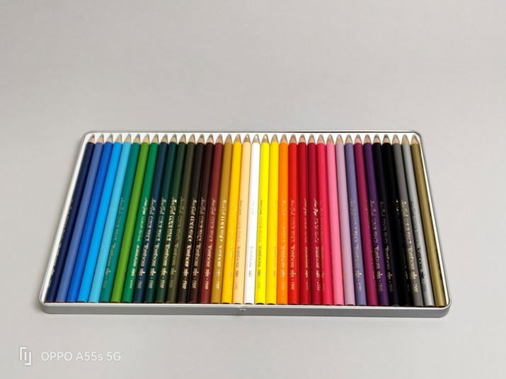 ȉɁA{@̃CJgĎBeÎ~̍fڂBݒ̂܂܃JC̃I[g[hŎBesĂB