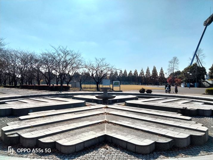 tŕiBeBzł邪tA͂قǖڗĂ炸ANbLƂdオ肾Bۂ͔܂肾̐Ă