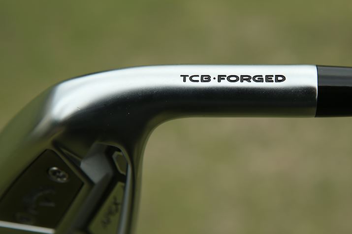 tF[Xfނ́AXs\ɍlXeXB{fBɂ͑Ŋ⃍tgCpȂǂ̒ɗLȒb@ŒbꂽSgpBZpݎԉɂčꂽAɋÂACAłI