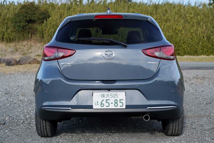 fUCɎp]ɂȂĂ炸A׎̓RpNgJ[Ƃđ傫ȕŝȂeς܂